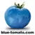 Logo Blue Tomato