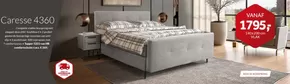 Caresse 4360