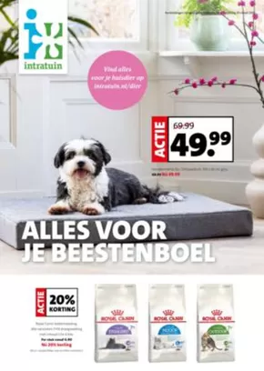 Catalogus van Intratuin | Actuele deals en aanbiedingen | 2025-03-25T00:00:00.000Z - 2025-04-08T00:00:00.000Z
