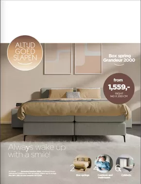 Box spring Grandeur 2000