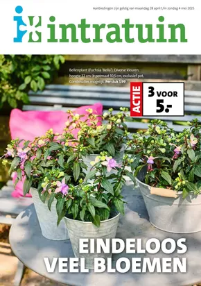 Catalogus van Intratuin in Sprundel | Intratuin folder | 2025-04-28T00:00:00.000Z - 2025-05-04T00:00:00.000Z