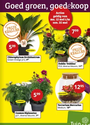 Catalogus van Tuinland | Goed groen, goedekoop | 2025-05-12T00:00:00.000Z - 2025-05-25T00:00:00.000Z