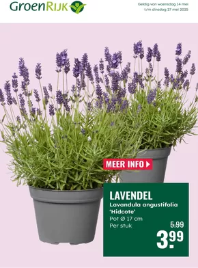 Catalogus van GroenRijk in Leerbroek | Lavendel | 2025-05-14T00:00:00.000Z - 2025-05-27T00:00:00.000Z