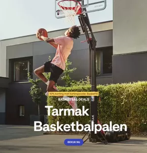 Tarmak Basketbalpalen