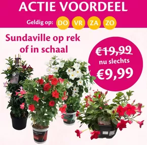Actie voordeel