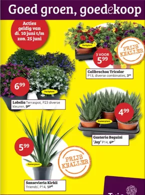 Catalogus van Tuinland in Groningen | Goed groen, goedekoop | 2025-06-11T00:00:00.000Z - 2025-06-25T00:00:00.000Z