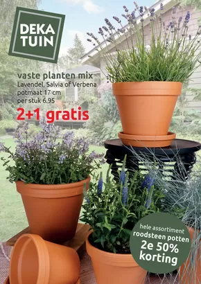 2 + 1 Gratis