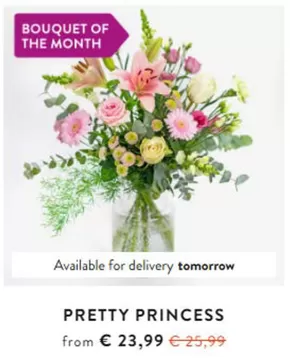 Catalogus van Euroflorist in Hollum | Bouquet of the month | 2025-06-12T00:00:00.000Z - 2025-06-30T00:00:00.000Z