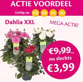 Actie voordeel