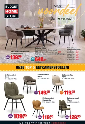 Catalogus van Budget Home Store in Genemuiden | Budget Home Store folder | 2025-06-16T00:00:00.000Z - 2025-06-30T00:00:00.000Z