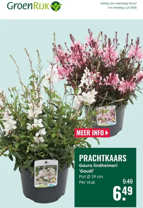 Catalogus van GroenRijk in Vriezenveen | GroenRijk folder | 2025-06-18T00:00:00.000Z - 2025-07-01T00:00:00.000Z