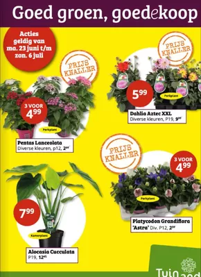 Catalogus van Tuinland in Norg | Goed groen, goedekoop | 2025-06-23T00:00:00.000Z - 2025-07-06T00:00:00.000Z