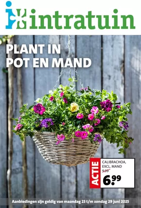 Catalogus van Intratuin in Vleuten | Geweldig aanbod voor koopjesjagers | 2025-06-23T00:00:00.000Z - 2025-06-29T00:00:00.000Z
